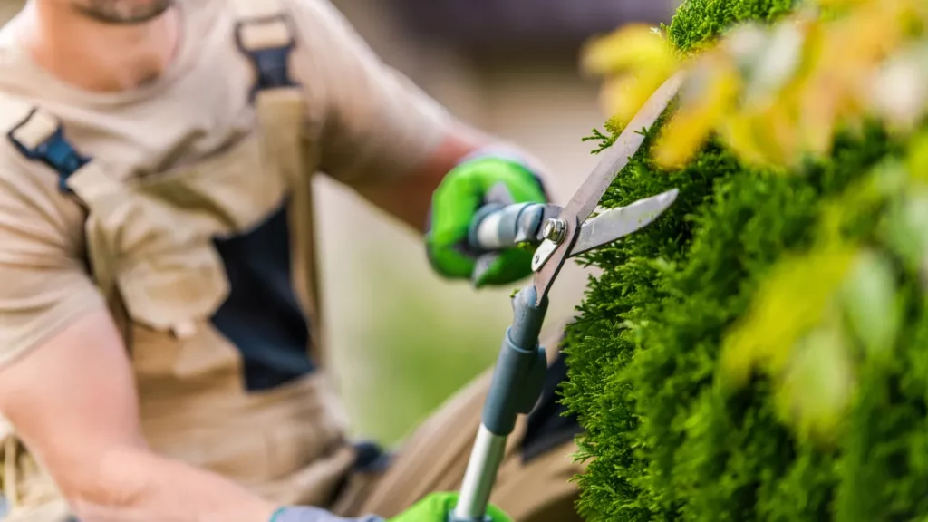 Landscaping SEO, Mastering Landscaping SEO: Get Your Green Thumb Noticed